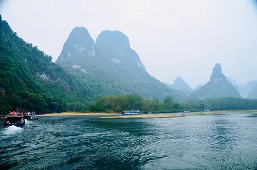 全自动高效
